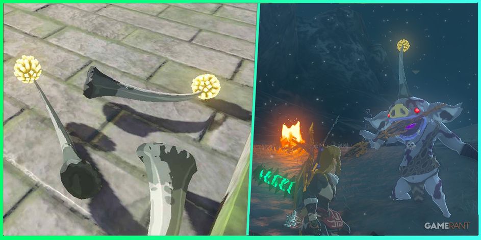 Zelda: Tears of the Kingdom — как получить рог серебряного бокоблина